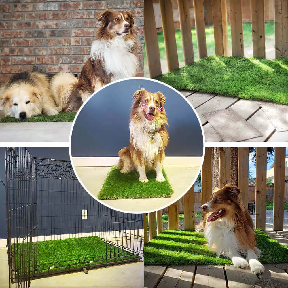 High-Quality Indoor and Outdoor Dog Grass Mat with Leak Protection for Comfort and Convenience