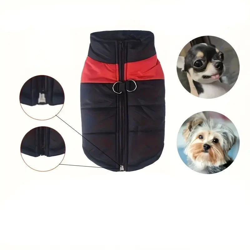 Waterproof Dog Coat with Back Zipper