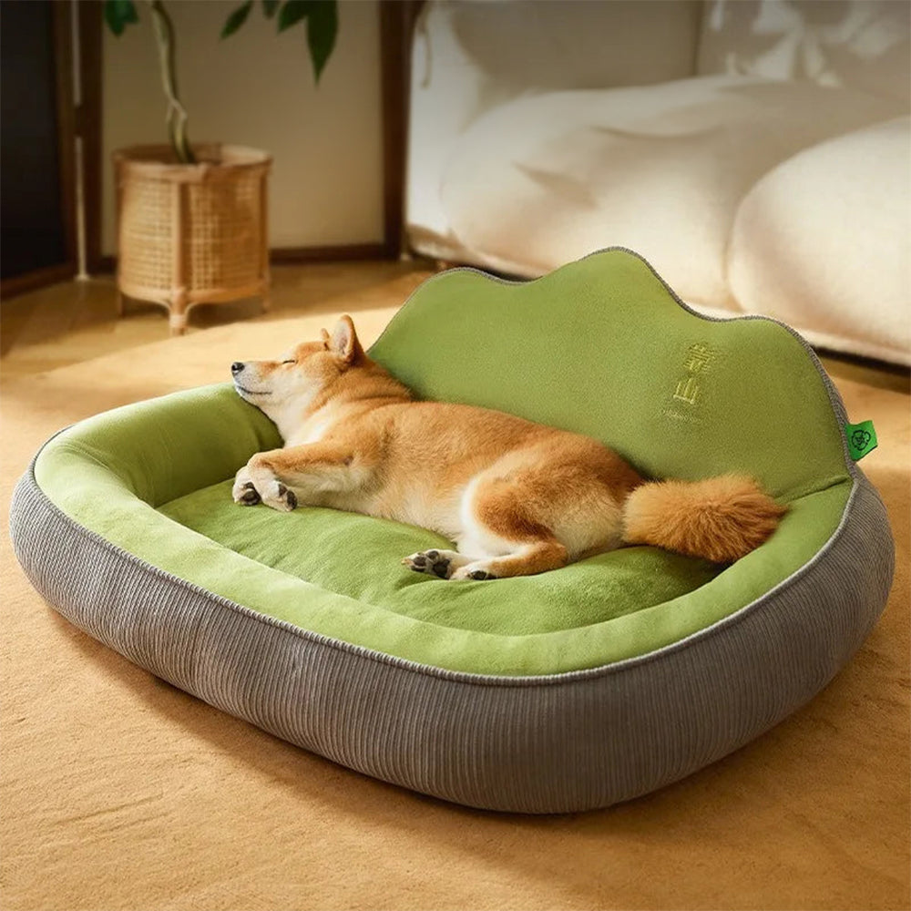 Plush Pillow for Cozy House Cats