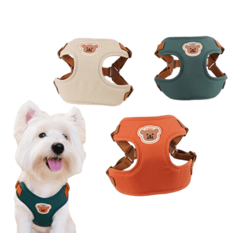 Cute and Adjustable Harness & Strap for Comfort and Safety
