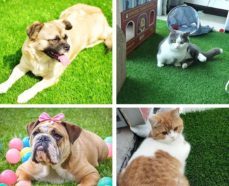High-Quality Indoor and Outdoor Dog Grass Mat with Leak Protection for Comfort and Convenience