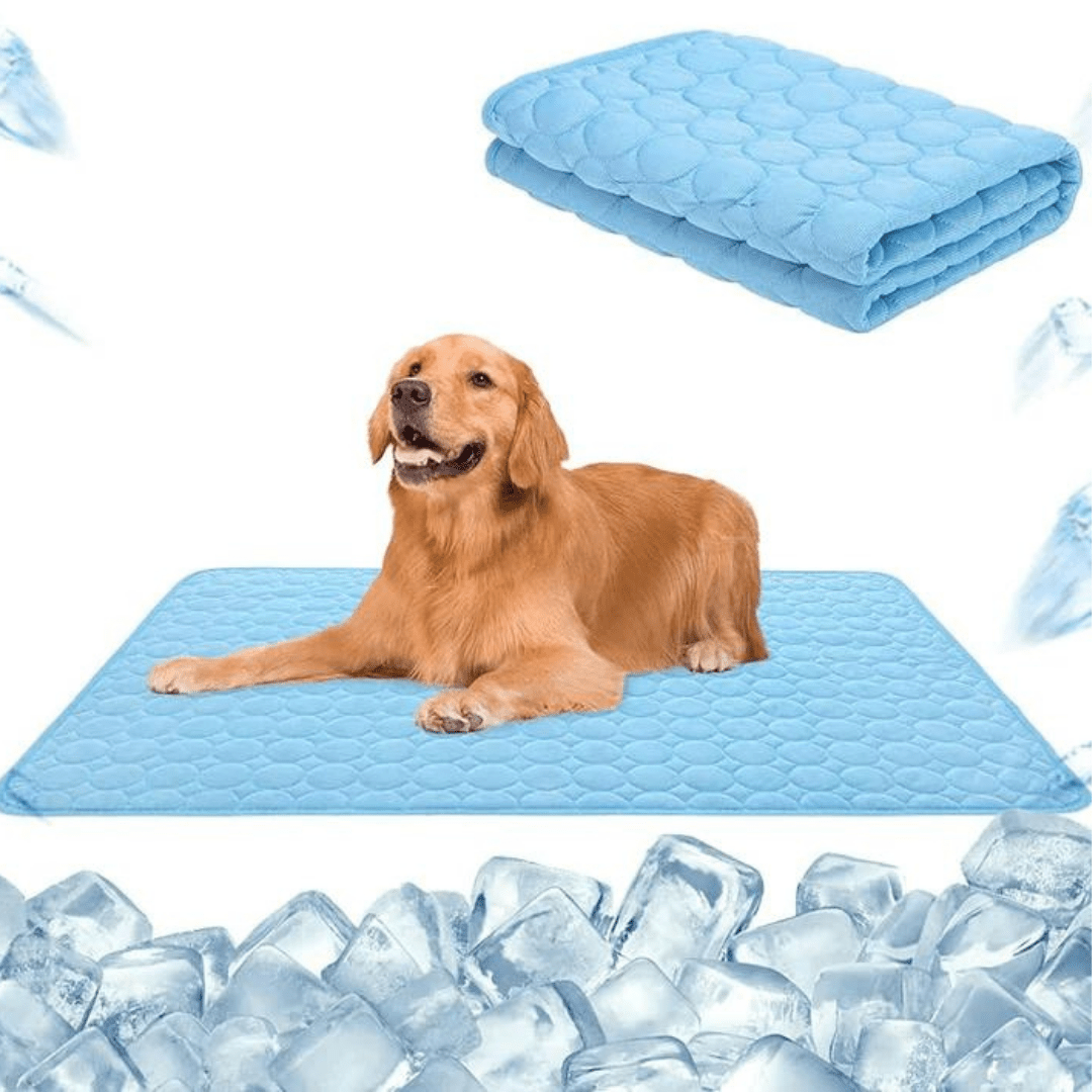 Refreshing and Safe Self-Cooling Mat for Dogs