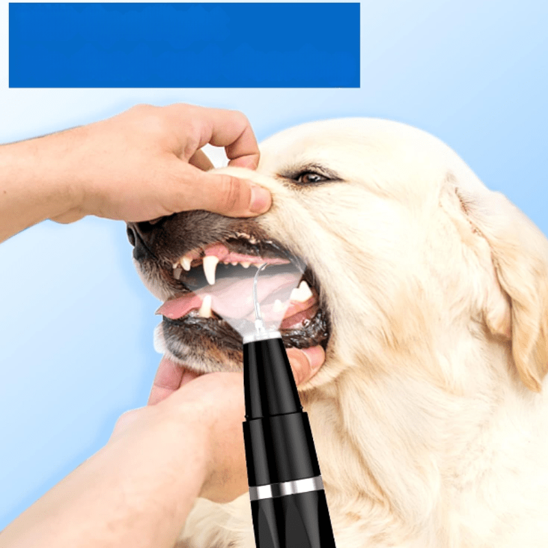 Handy and portable pet paw cleaner for a clean and fresh coat