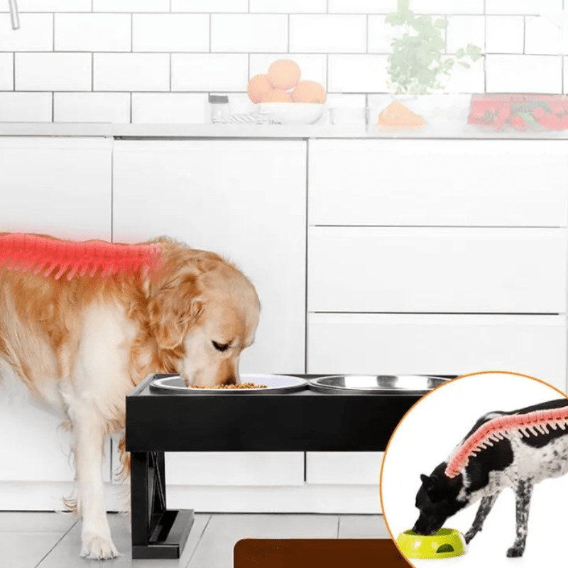 Comfortable Elevated Dog Bowl with Non-slip Mat