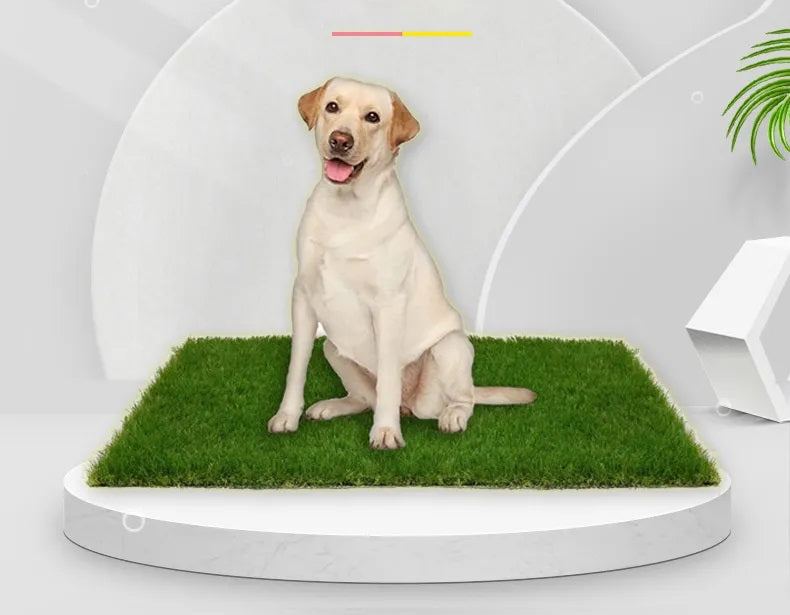 High-Quality Indoor and Outdoor Dog Grass Mat with Leak Protection for Comfort and Convenience