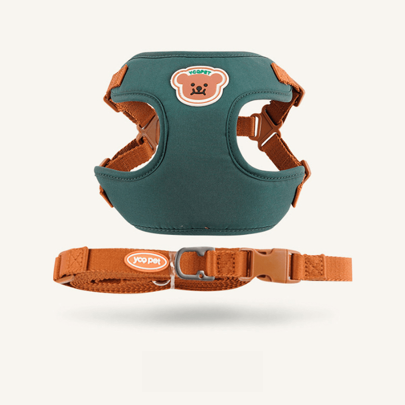Cute and Adjustable Harness & Strap for Comfort and Safety