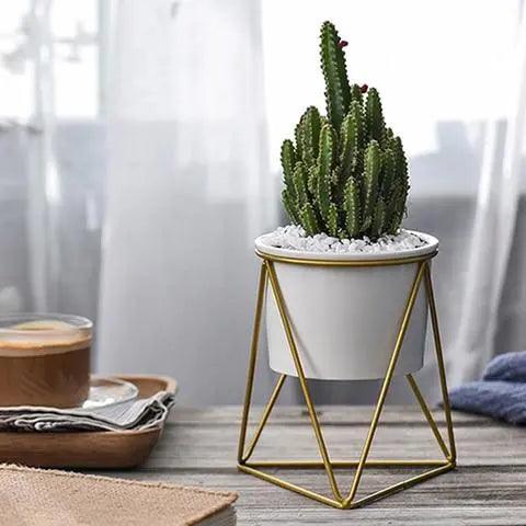 Elegant ceramic pot with iron stand - Modern planter for air plants and succulents