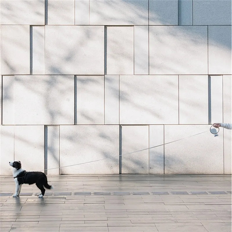 Extendable Dog Leash for Ultimate Control and Convenience