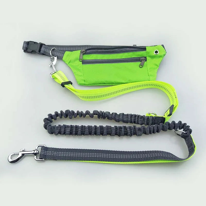 Comfortable Running Leash for Dogs