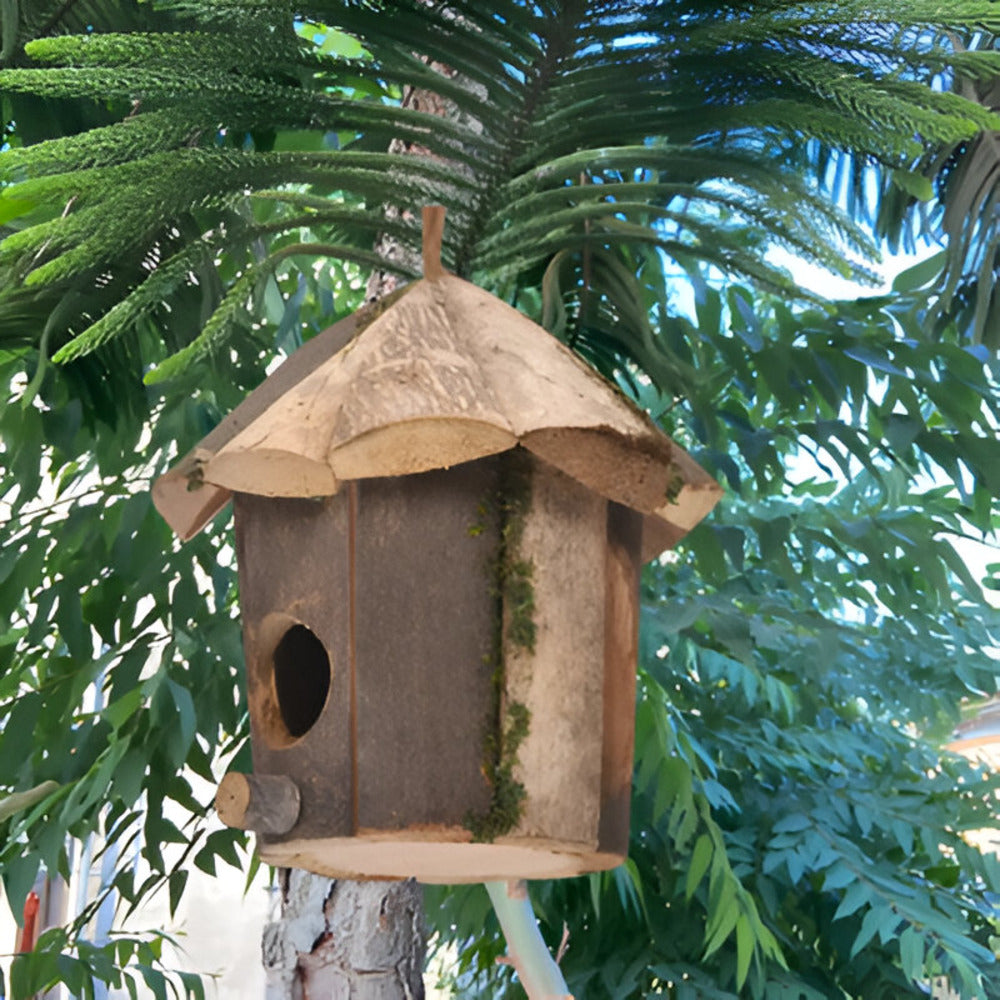 Domus - Charming Rustic Wooden Birdhouse with Hummingbird Design