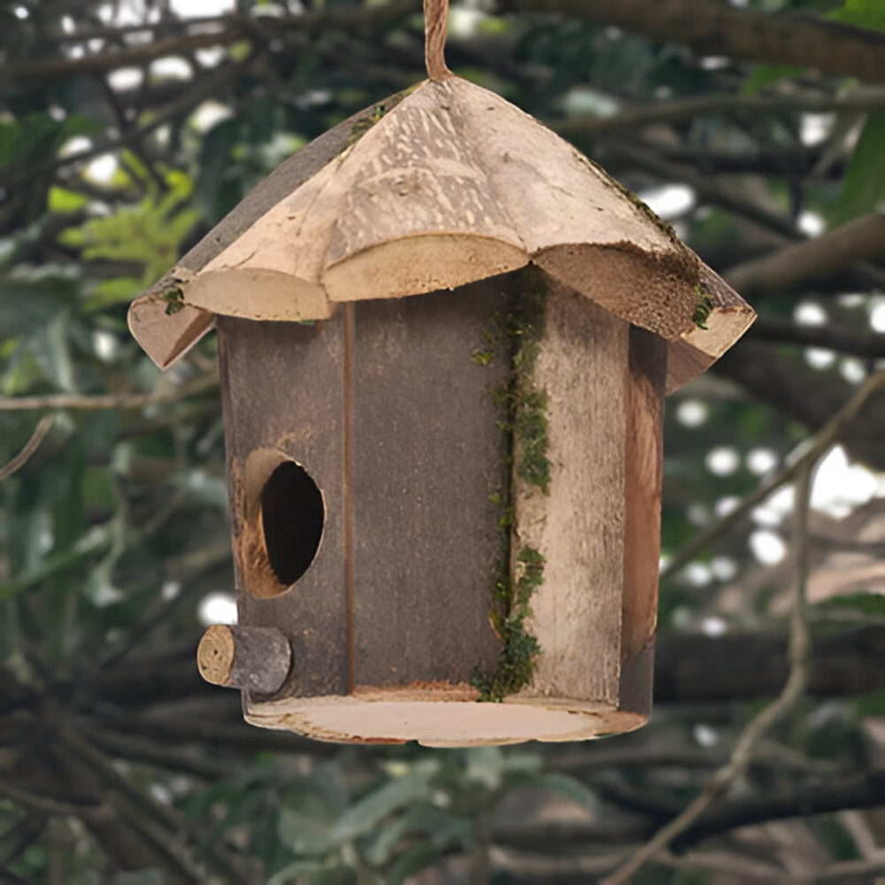 Domus - Charming Rustic Wooden Birdhouse with Hummingbird Design
