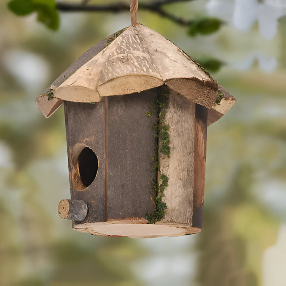 Domus - Charming Rustic Wooden Birdhouse with Hummingbird Design