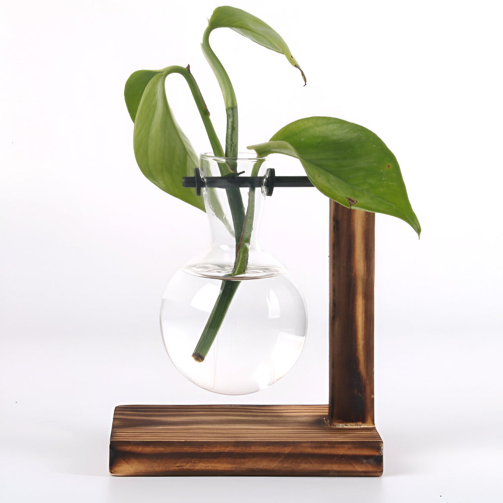 Valethra - Charming Rustic Wooden Hydroponic Plant Holder for a Natural Decoration