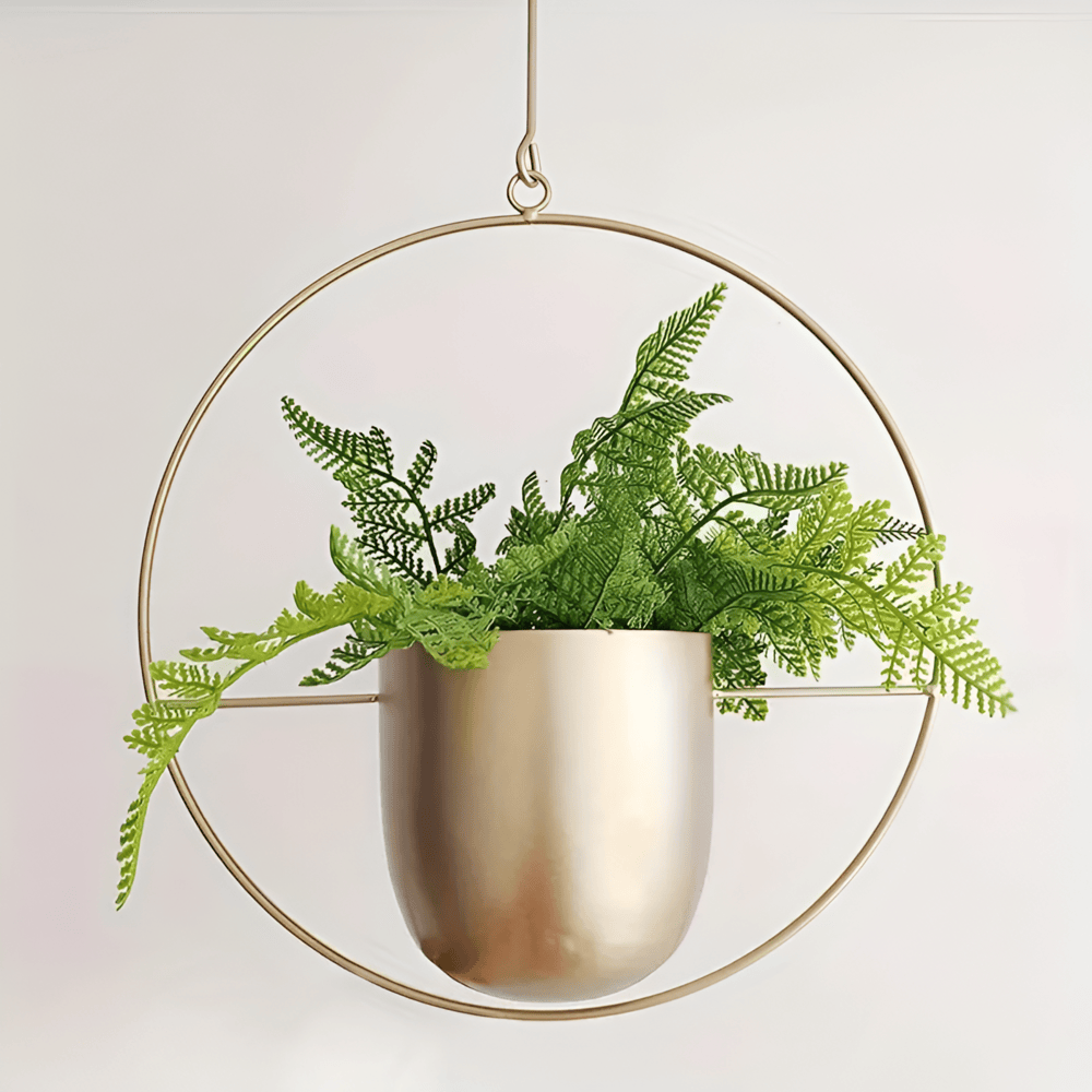Caelessa - Sleek and Elegant Wall Planter for a Modern Interior