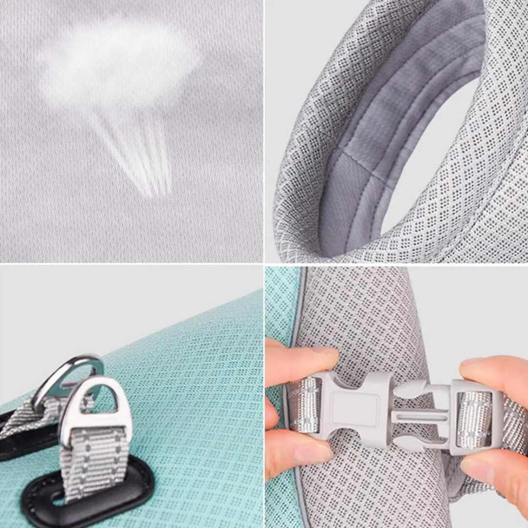 Refreshing Heat Protection for Dogs During Summer