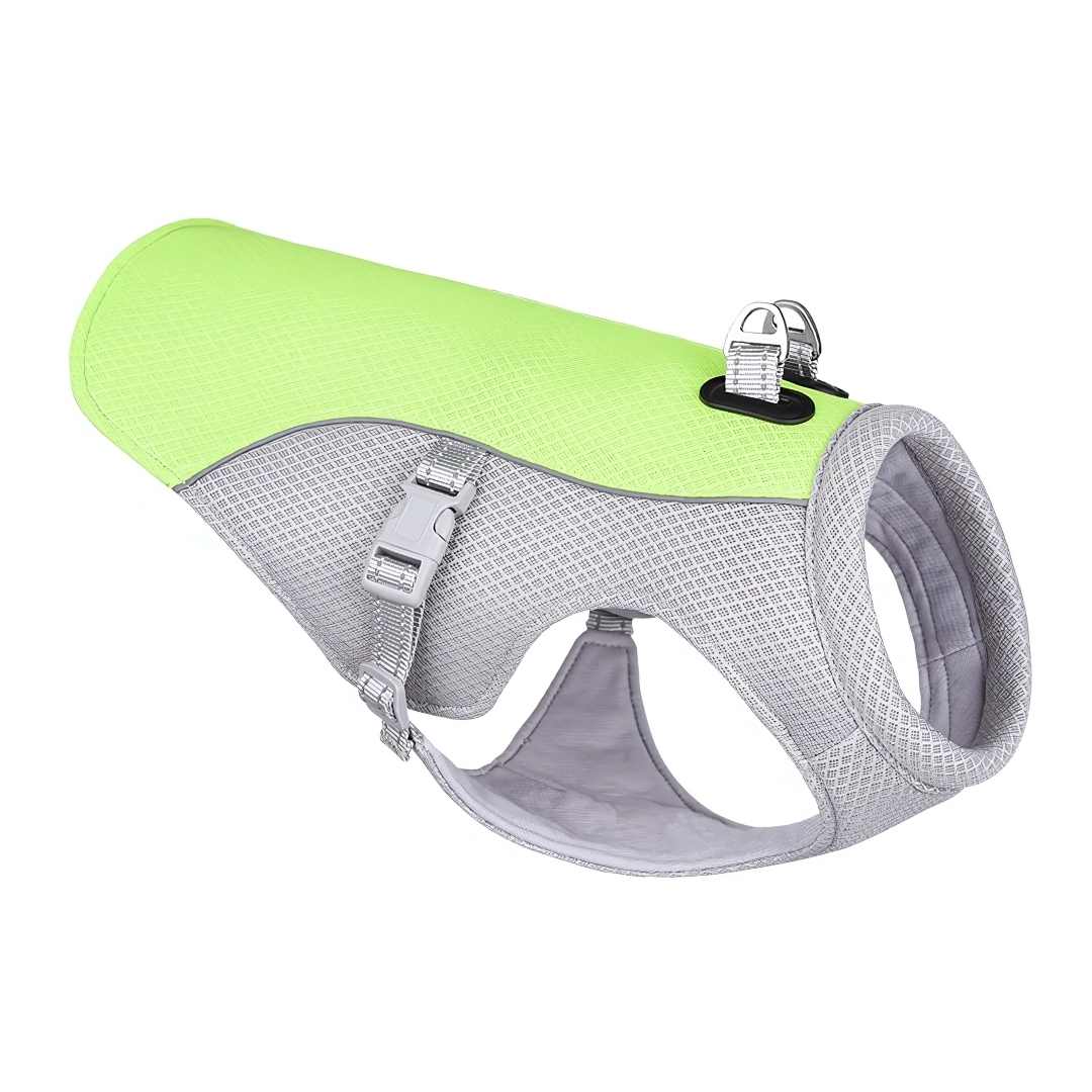 Refreshing Heat Protection for Dogs During Summer