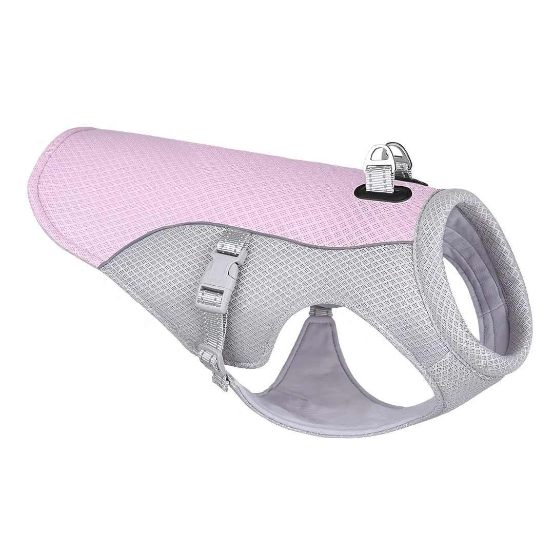 Refreshing Heat Protection for Dogs During Summer