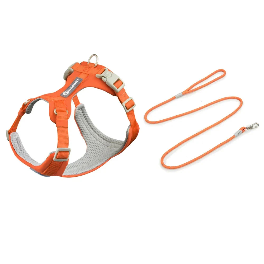 Ultimate Harness and Rope Set for Outdoor Training and Adventure