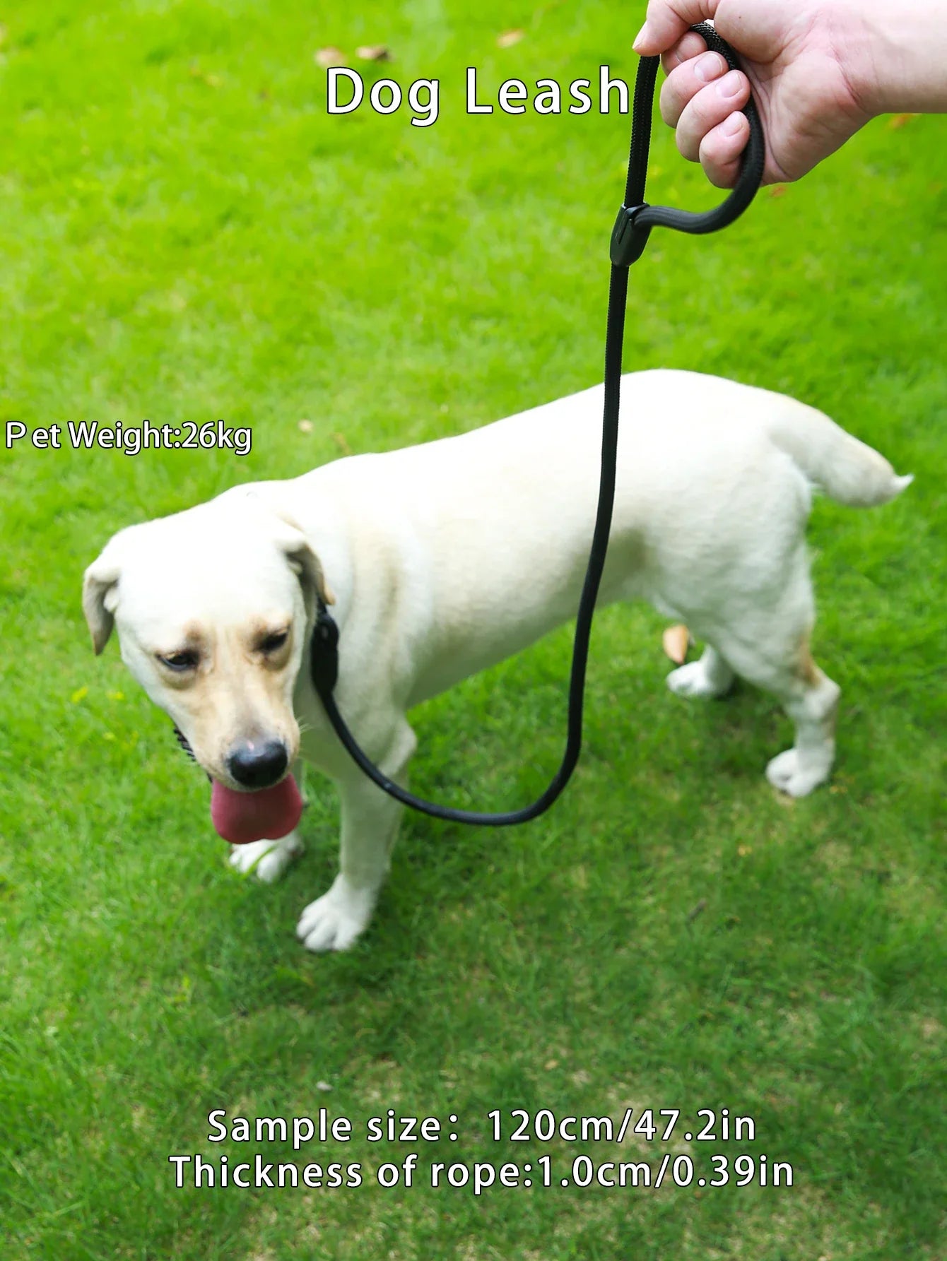 Strong and Durable Dog Leash for Every Dog