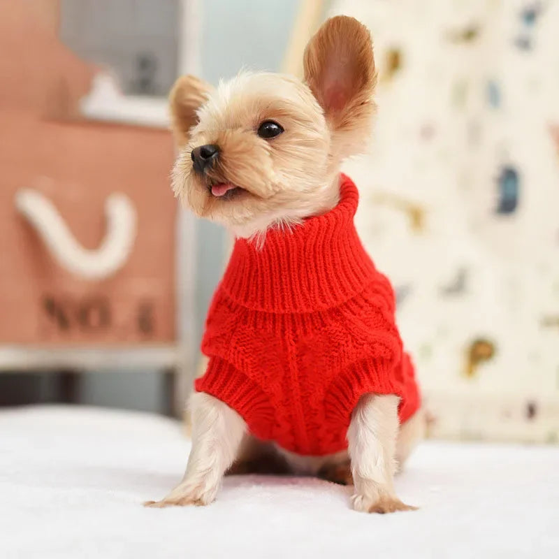 Comfortable and Warm Sweater for Pets for Extra Cozy Protection