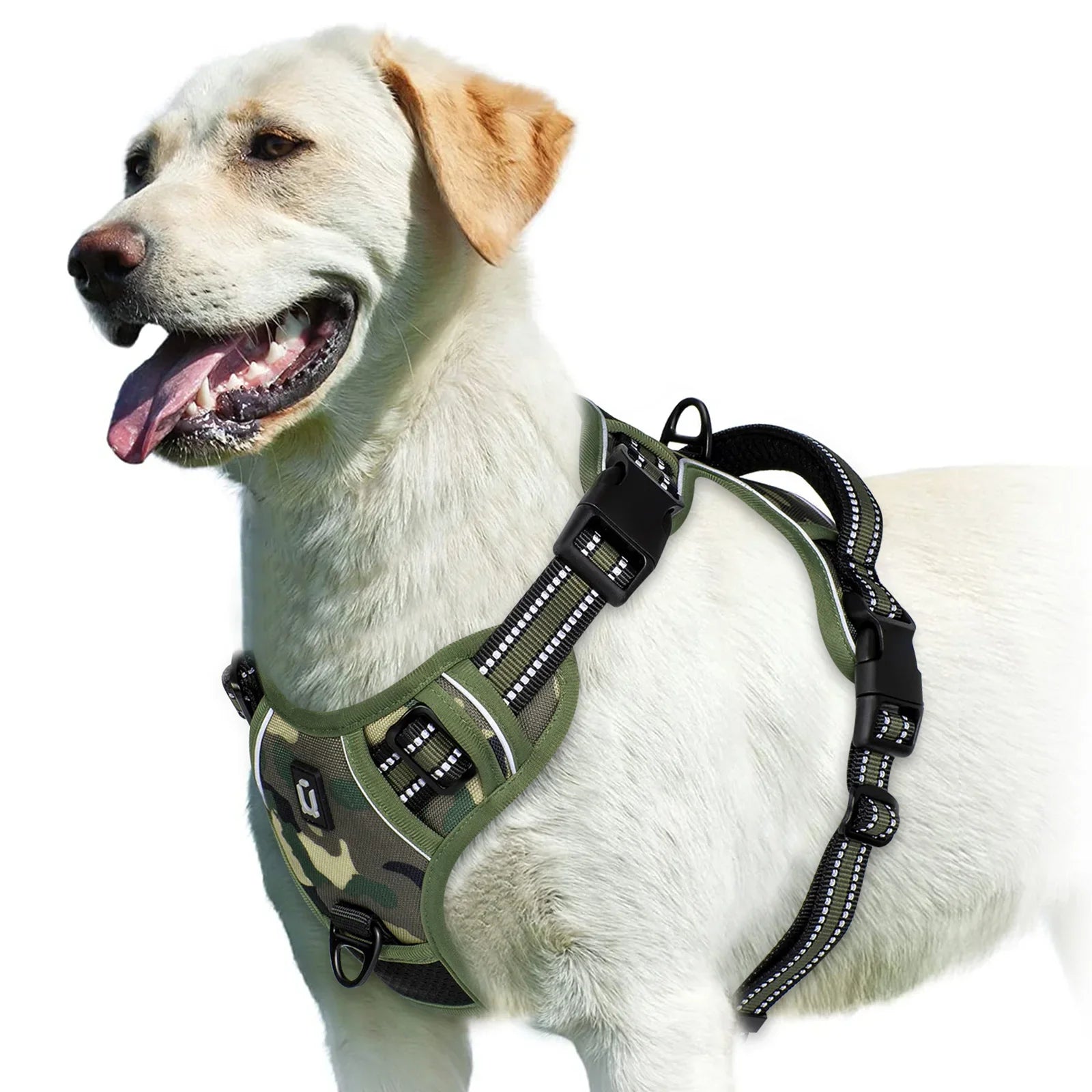 Adjustable Dog Harness for Ultimate Comfort and Safety