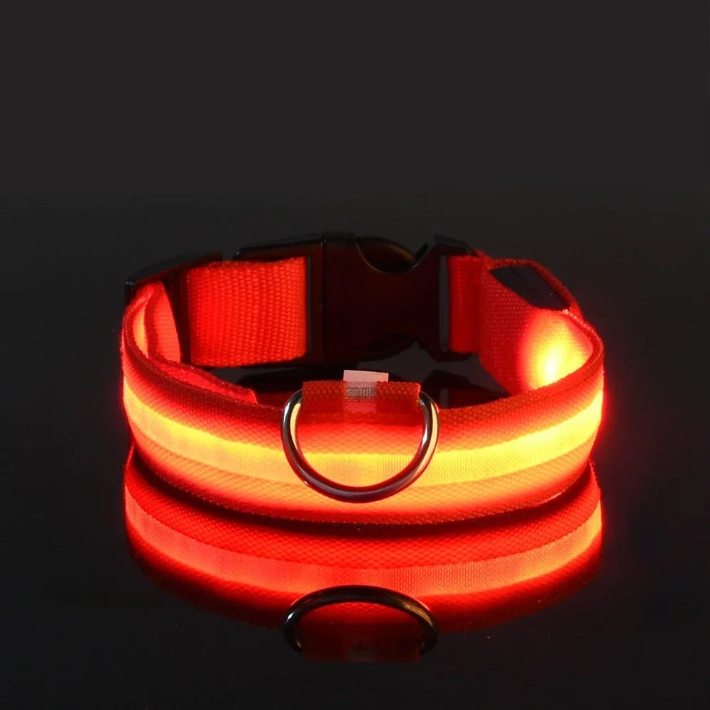 Luxe LED Dog Collar for Ultimate Night Safety