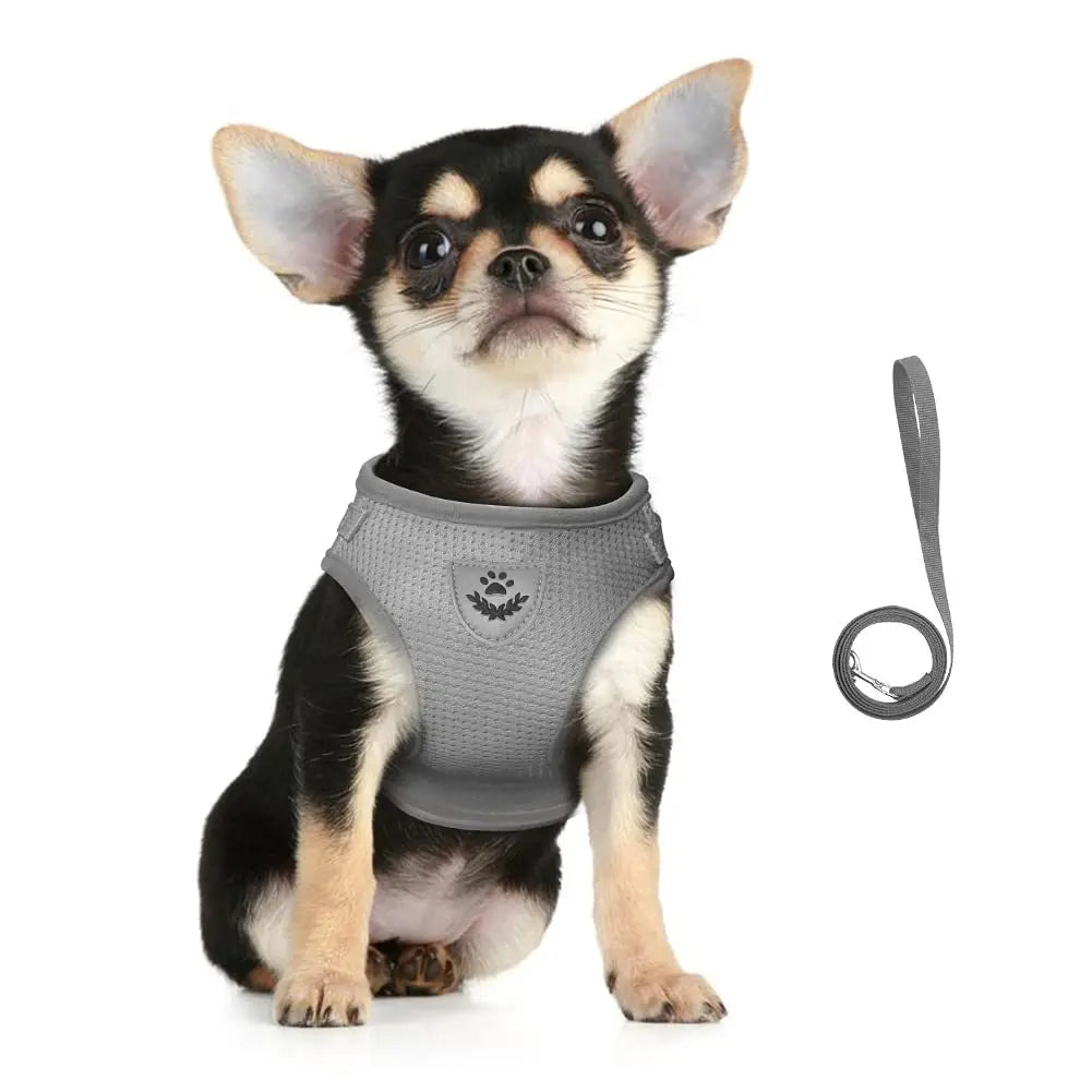 Adjustable Cat Harness with Reflective Details for Extra Safety