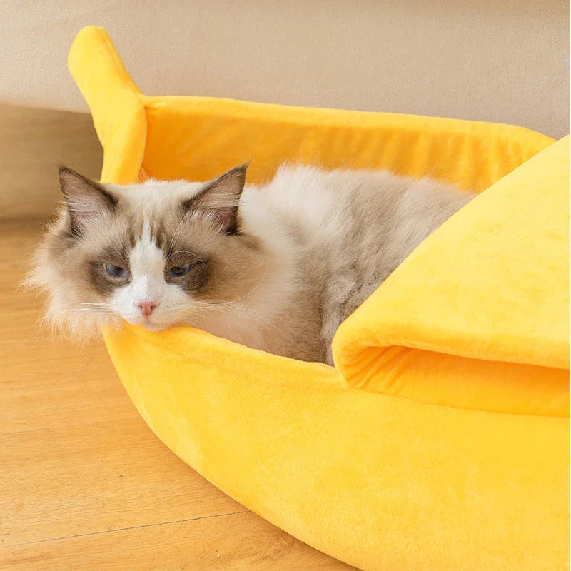 Soft and Cozy Cat Bed with a Playful Touch