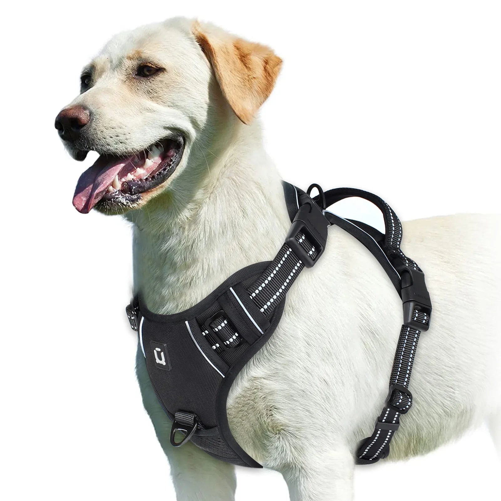 Adjustable Dog Harness for Ultimate Comfort and Safety