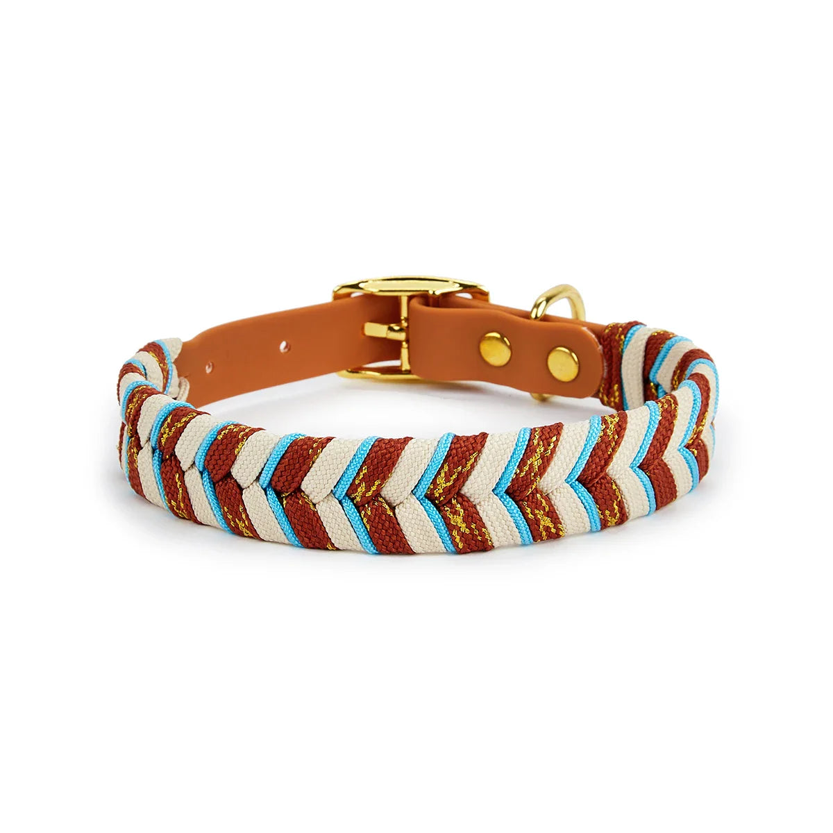 Vibrant and Cool Dog Collars for Every Adventurous Dog