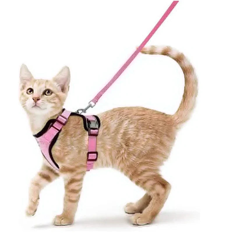Comfortable and Safe Walking Harness for Cats