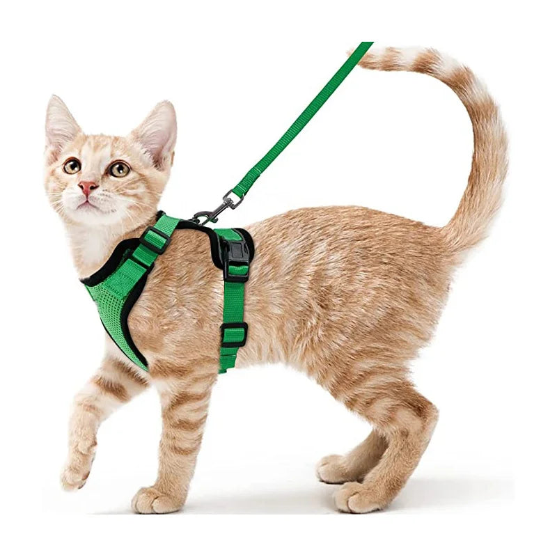 Comfortable and Safe Walking Harness for Cats