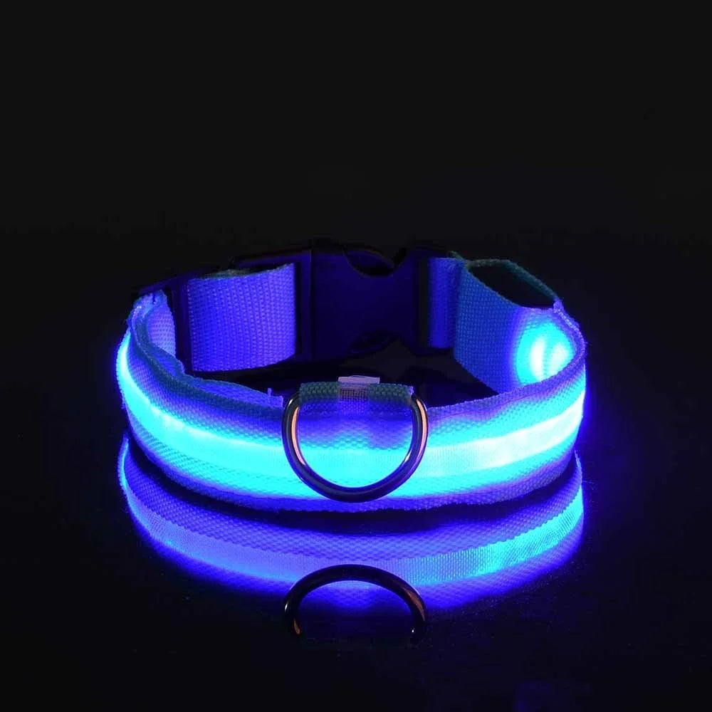 Luxe LED Dog Collar for Ultimate Night Safety
