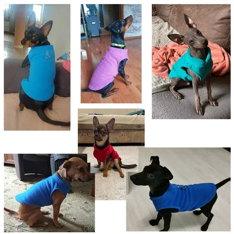 Luxe Warm Dog Coat for Small Dogs - Comfort and Protection in One