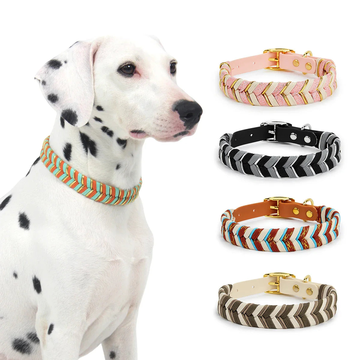 Vibrant and Cool Dog Collars for Every Adventurous Dog