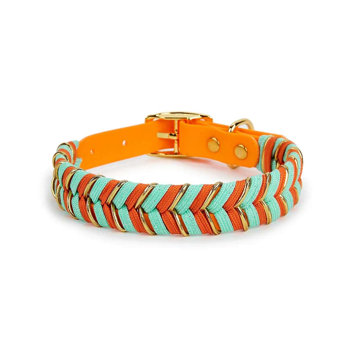 Vibrant and Cool Dog Collars for Every Adventurous Dog