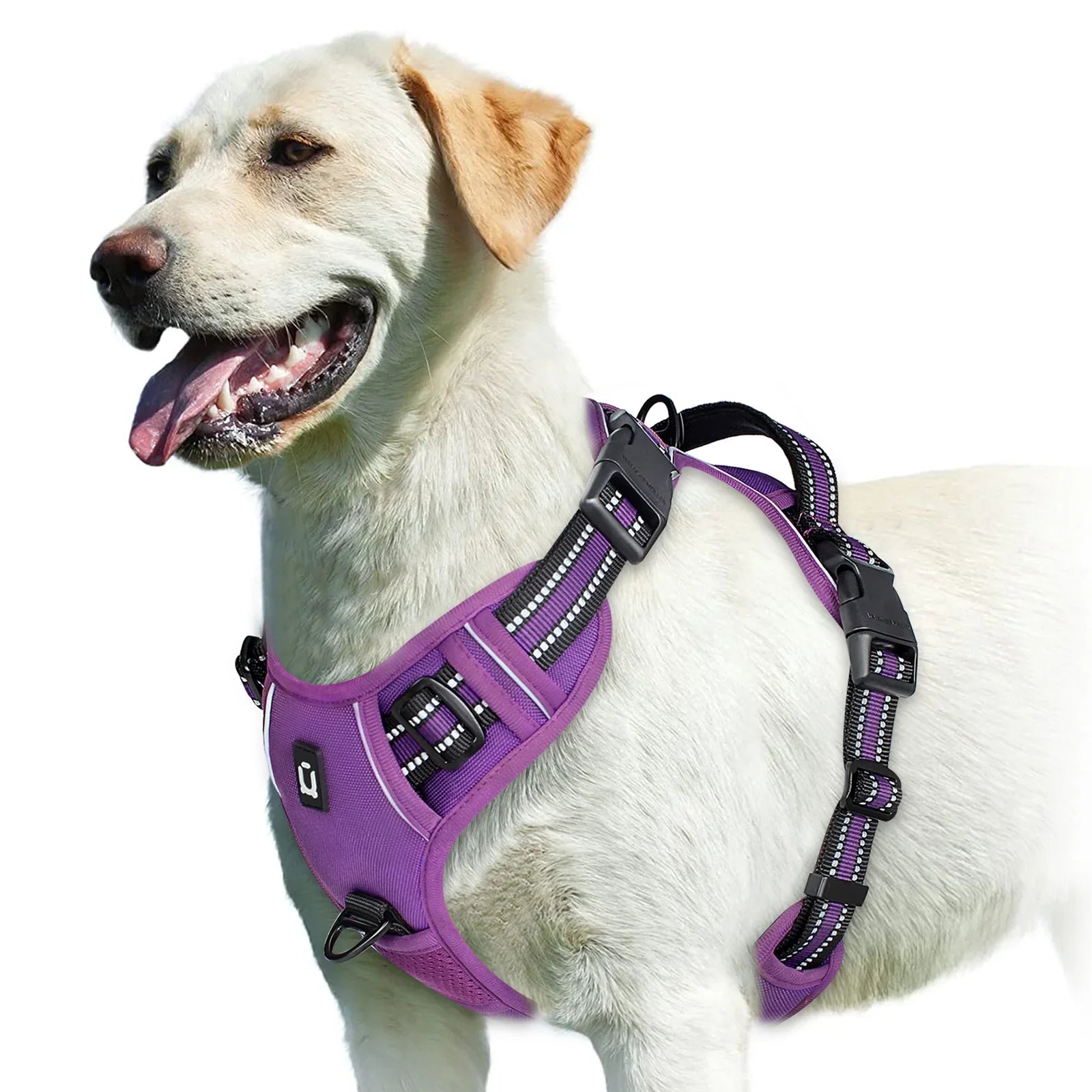 Adjustable Dog Harness for Ultimate Comfort and Safety