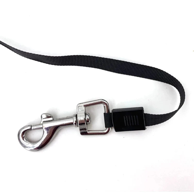 Automatic Dog Leash for All Sizes – Comfortable and Safe On the Go