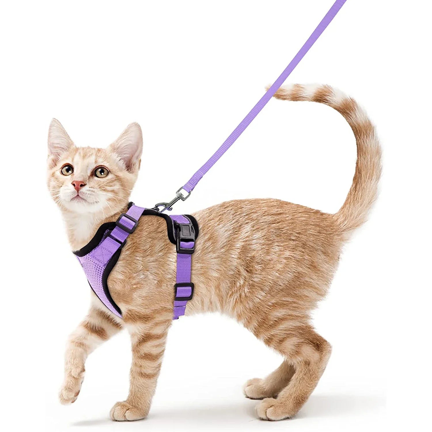 Comfortable and Safe Walking Harness for Cats