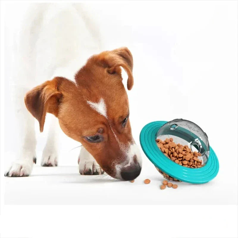 Fun and Educational Game for Training