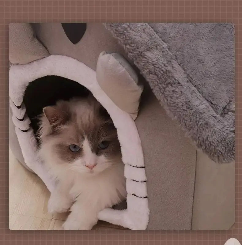 All-Season Dog House for Small Dogs