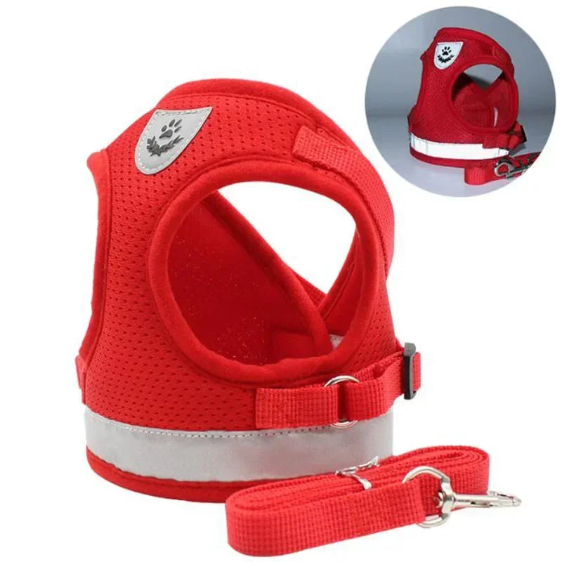 Mesh Harness and Leash for Ultimate Comfort During Walking