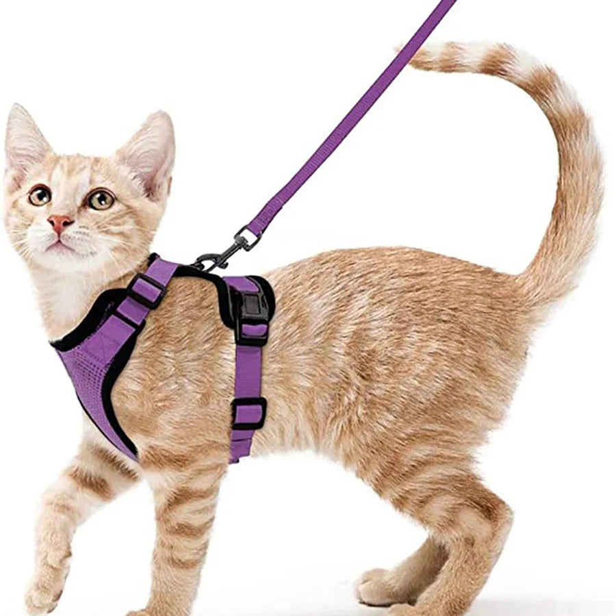 Comfortable and Safe Walking Harness for Cats