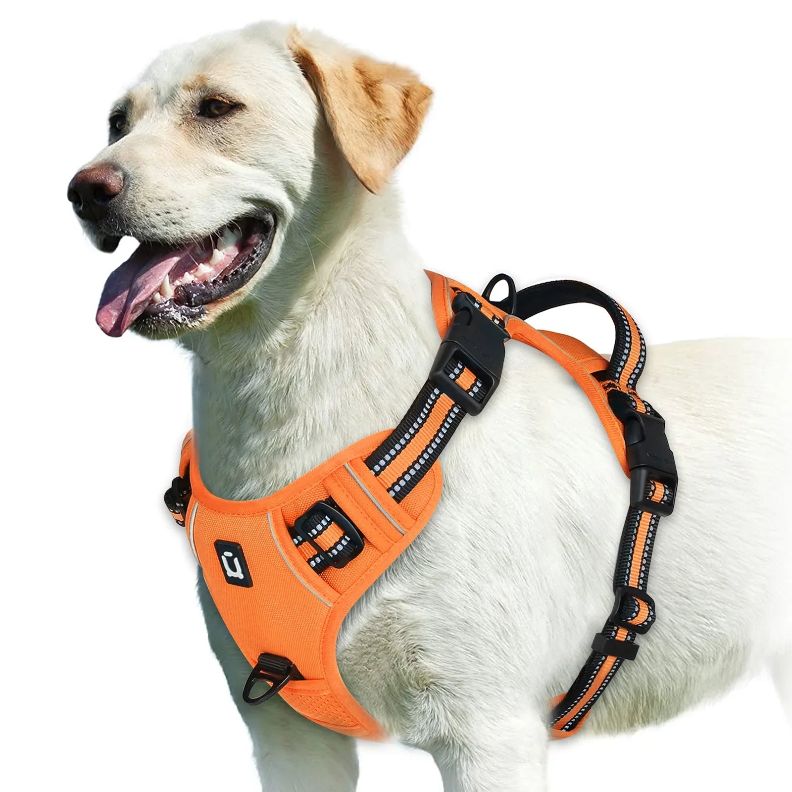 Adjustable Dog Harness for Ultimate Comfort and Safety