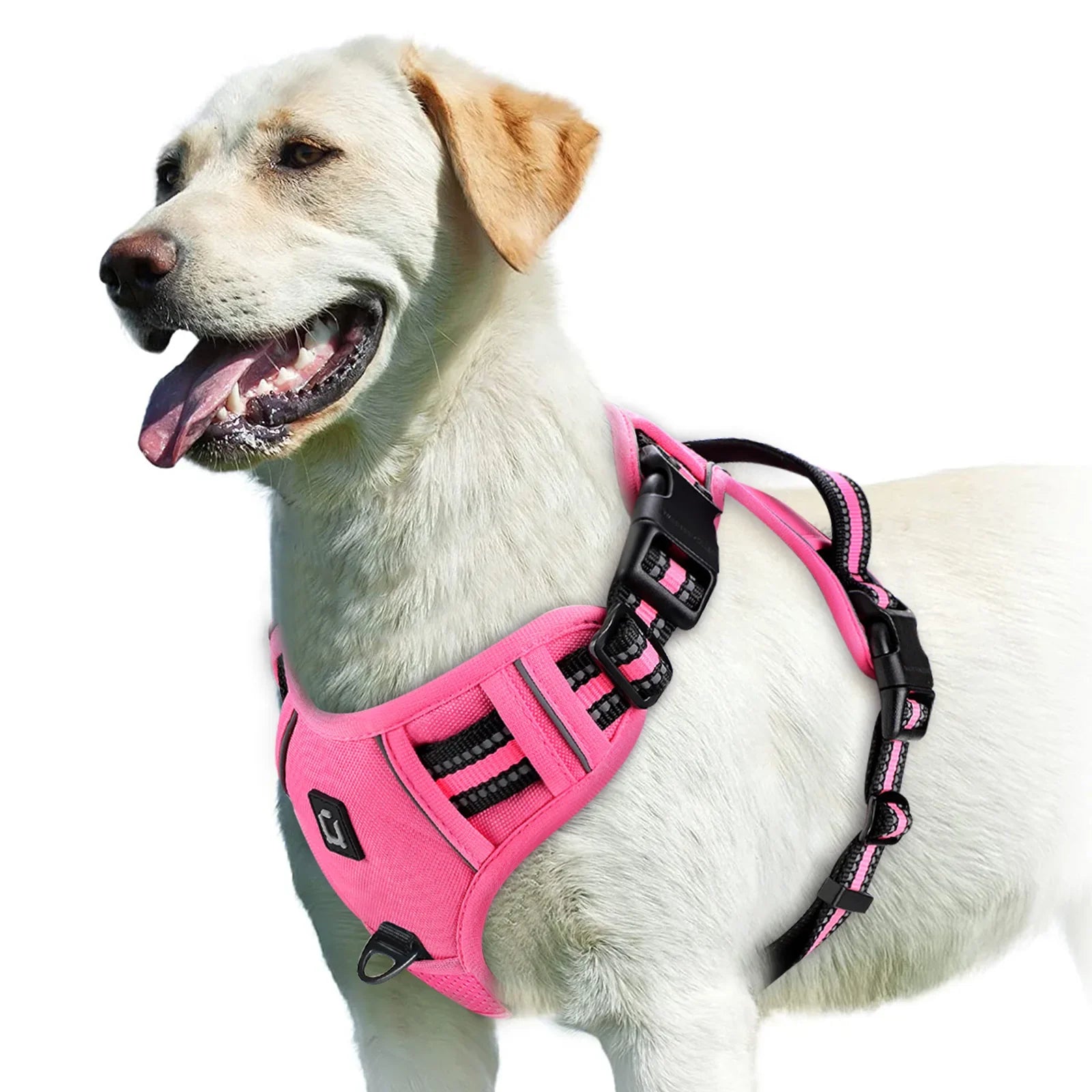 Adjustable Dog Harness for Ultimate Comfort and Safety
