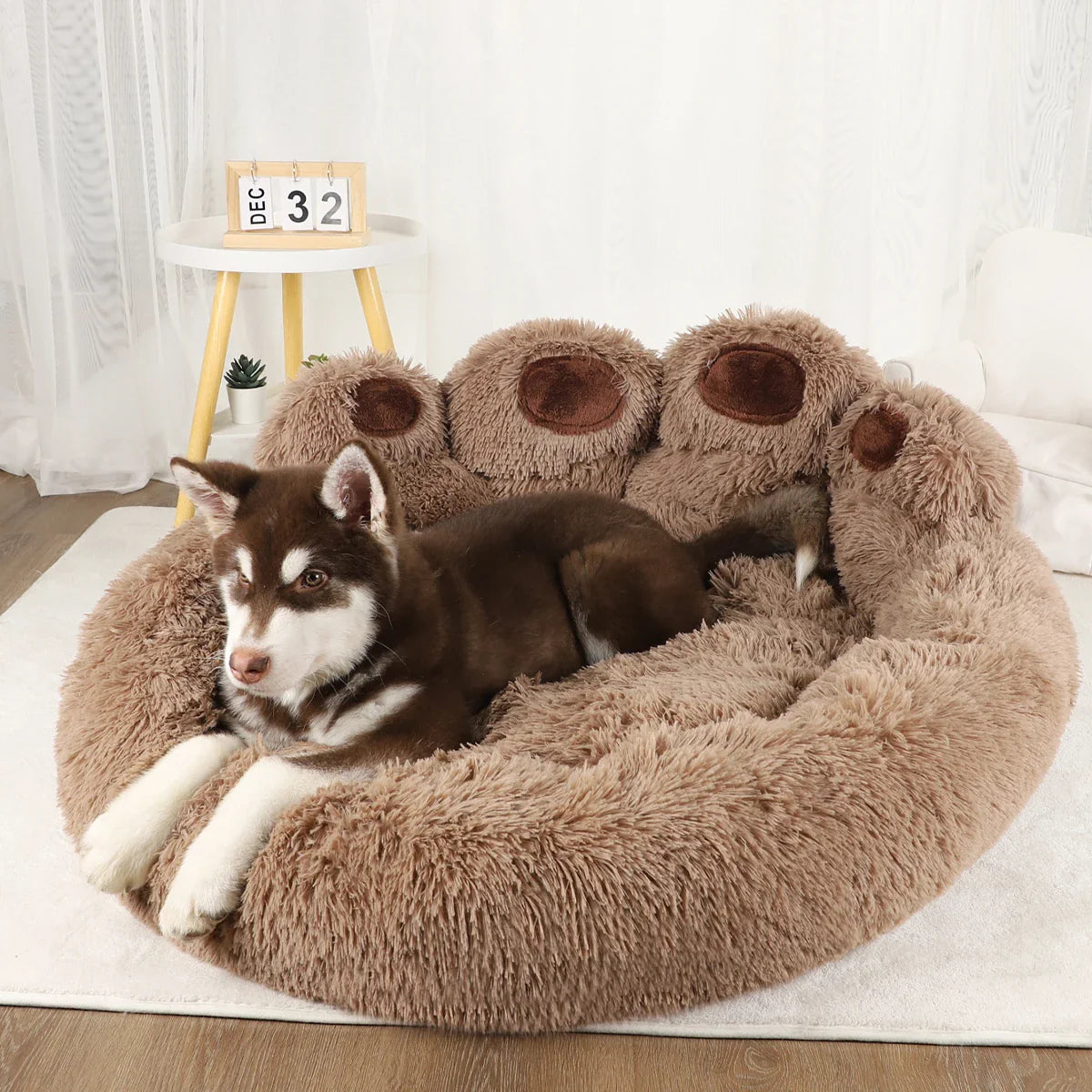 Comfortable and Warm Foldable Dog Bed for Small and Medium Dogs