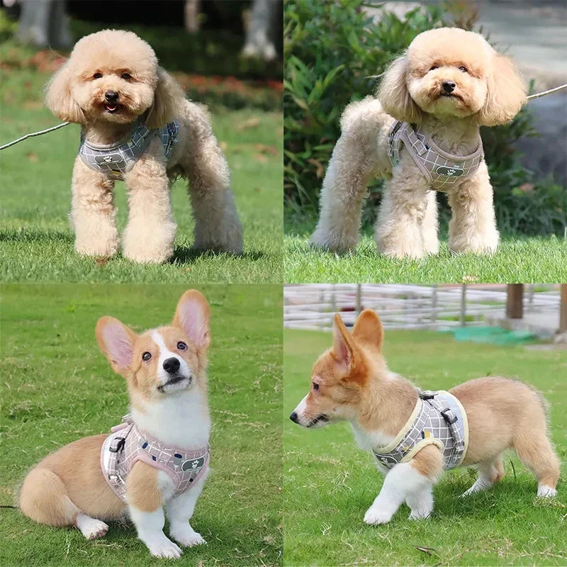 Breathable and Reflective Harness for Maximum Safety