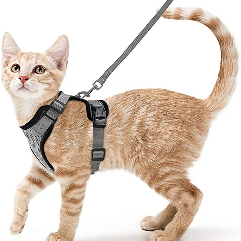 Comfortable and Safe Walking Harness for Cats