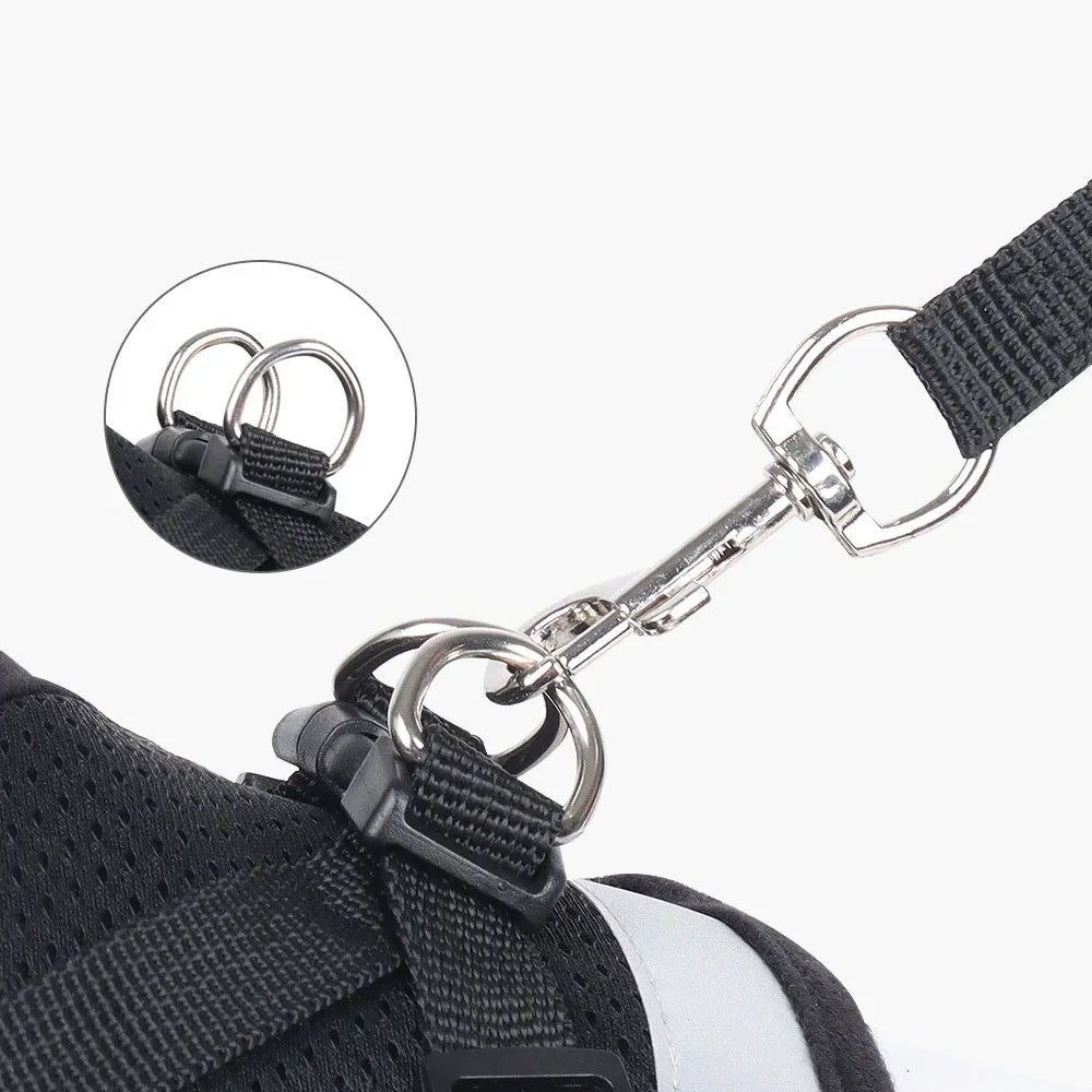 Adjustable Cat Harness with Reflective Details for Extra Safety