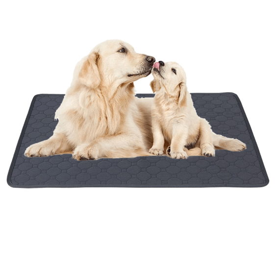Reusable Urine Training Pad for Dogs for Easy and Hygienic Practice